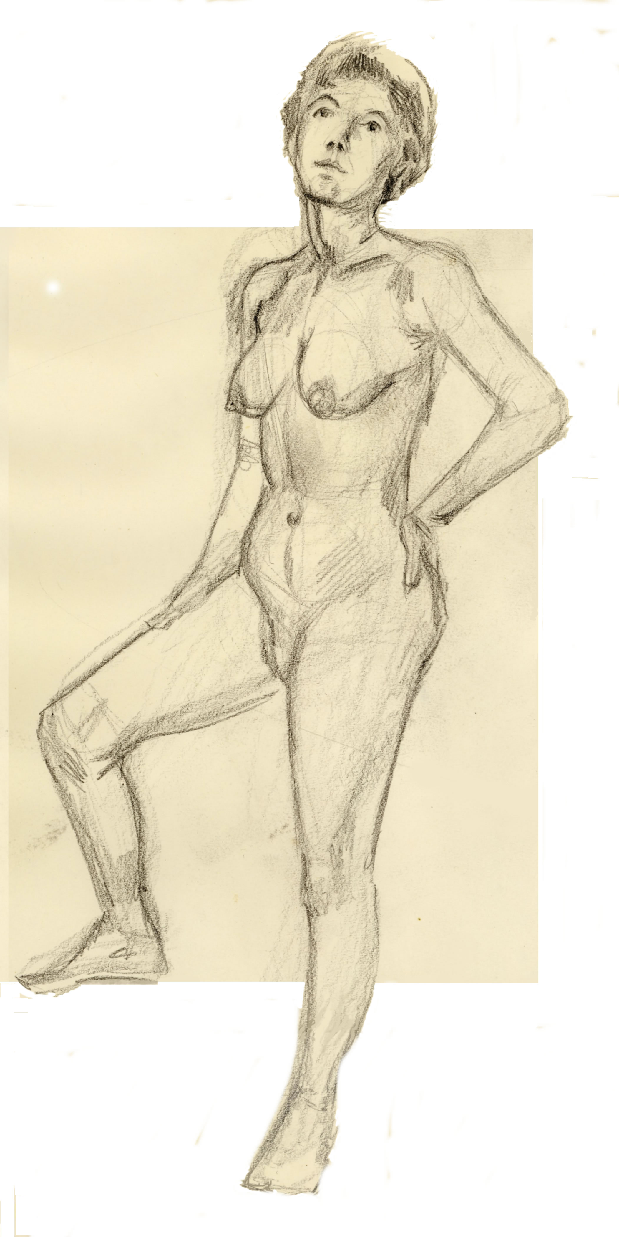 CLICK HERE for the artist's sketchbooks