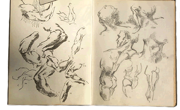 CLICK HERE for sketchbook notes
