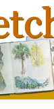 CLICK HERE for information about this palmetto palm sketch
