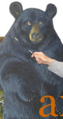 CLICK HERE for information about this bear painting