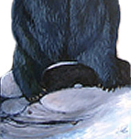 CLICK HERE to see the whole bear