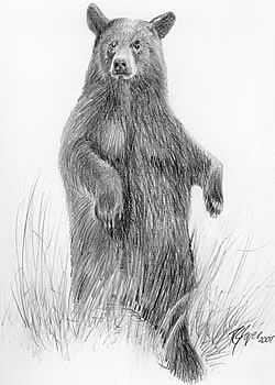 Original drawings of bears available at Cedar Mountain Rustic Furniture, Cumming, GA